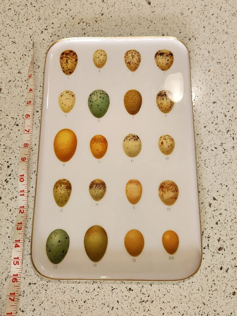 Anthropologie Terrain Egg Print Handmade Enamel Archival Tray Large 10